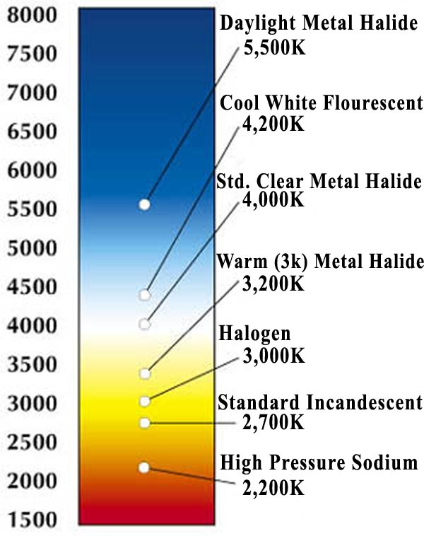 Why An LED Temperature Meter Is Essential - SDL Lighting